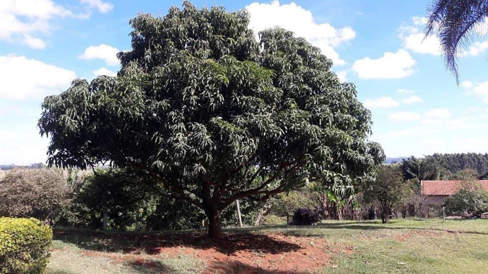 Vila Sitio Em Atibaia - Sitio Beija-Flor Exteriér fotografie